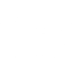 GINSTR